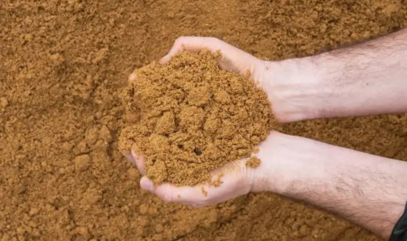 red sand